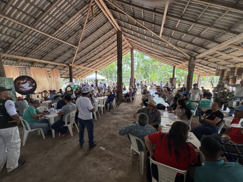 Instituto é referência no campo da proteção e valorização dos conhecimentos tradicionais associados ao patrimônio genético brasileiro